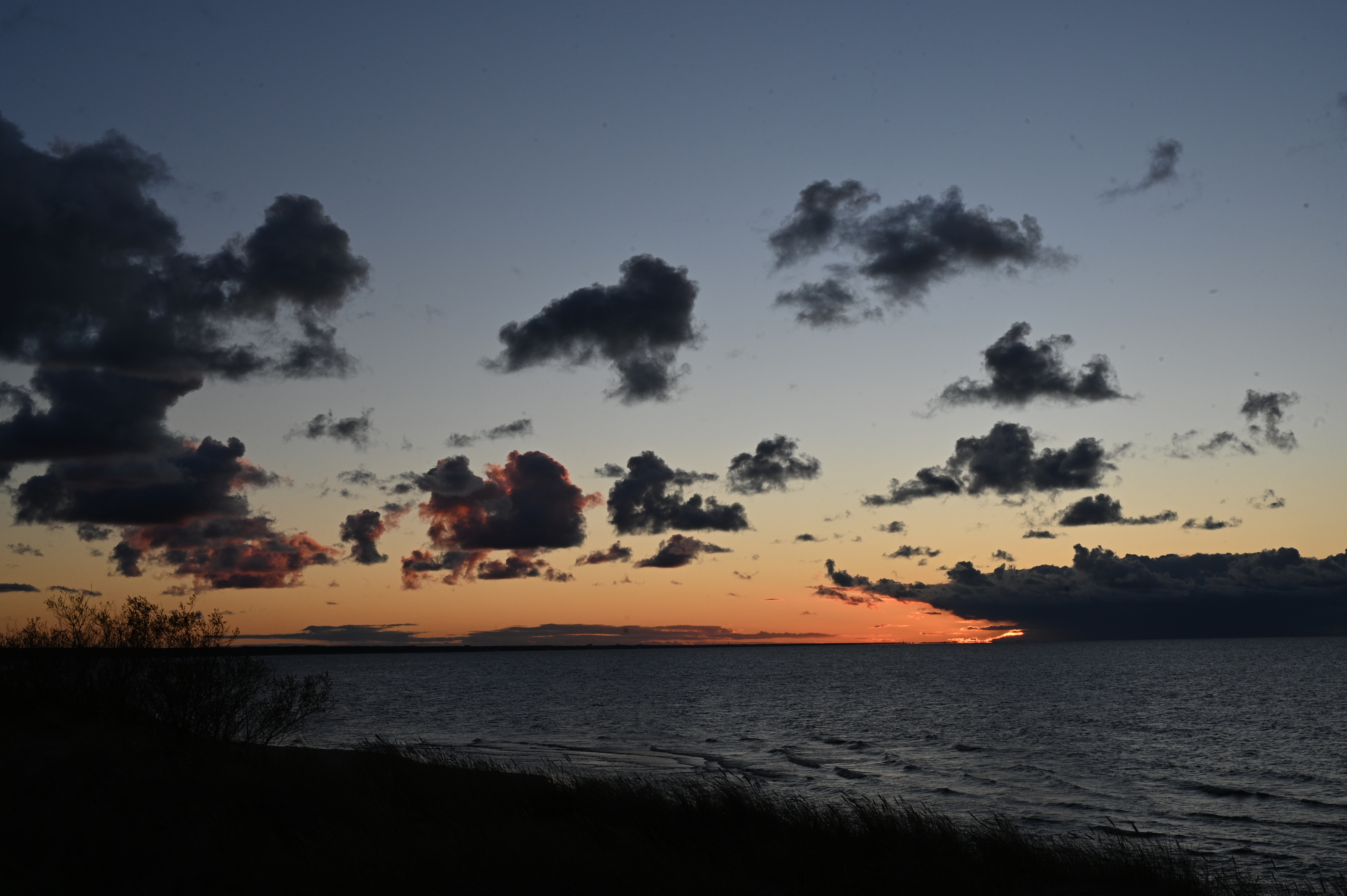 2025/10/18 - walk/DSC_0511.JPG